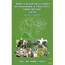 Barış Ve Başarı Simgeliğinden Sosyoekonomik Ve Endüstriyel Yaz...