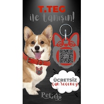 Petjoo 15.T.Teg Gri-Kırmızı Qr'lı Köpek Künyesi