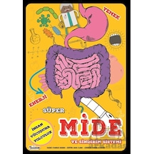 Süper Mide Ve Sindirim Sistemi