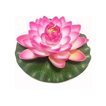 Süper Paket 20 Adet Tohum Lotus Tohumu Nilüfer Çiçeği Tohumu