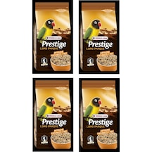 Versele Laga Prestige Loro Parque Afrika Paraket Yemi 1 Kg X 4 Adet