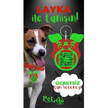 Petjoo 22.Layka Yeşil-Kırmızı Qr'lı Köpek Künyesi