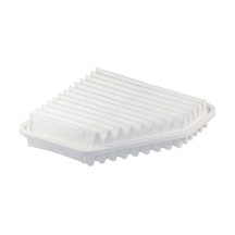 Filtron Hava Filtresi AP142/10