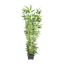 Yapay Çiçek Deposu Yapay Bambu Ağacı Premium Kalite 170cm 6 Gövdeli Ahşap Saksılı Antrasit Mavi