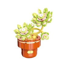 Blossom Graptopetalum Çiçek