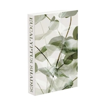 572 Eucalyptus Shades