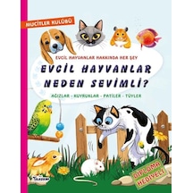 Evcil Hayvanlar Neden Sevimli