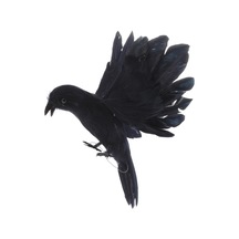 Suntek Açık Bahçe Ev Dekorasyonu Için Yapay Gerçekçi