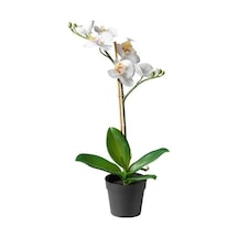 Yapay Orkide Beyaz 9 Cm MeridyenDukkan 9 cm Yapay Çiçek Orkide