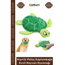 Petshop Yumuşak Sesli Diş Kaşıyıcı Köpek Eğitici Hışırtlı Peluş Kaplumbağa Evcil Hayvan Oyuncağı
