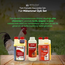 Royal Kanatlı Hayvanlar İçin 1 Lt Mükemmel Üçlü Set Acidoral+spiro Clean+pantonic