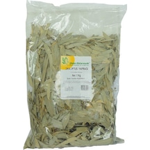 Okaliptus Yaprağı Doğal 1000 Gr Paket