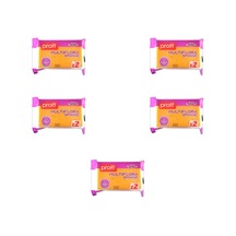 Proff Multiflora 2'li Soft Sünger - 14x9x3 Cm. - Tüm Yüzeyler İçin Bulaşık Süngeri - 5 Paket
