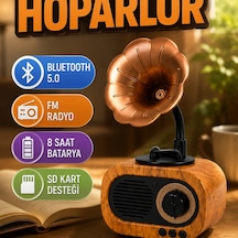 Mini Nostaljik Bluetooth Hoparlör Fm Radyo 5w 1200mah 8 Saat Kullanım