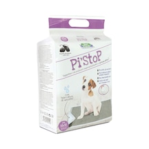 Record Best Friend Pi-stop Çiş Pedi Karbonlu 60cmx90cm 30 Lu Paket