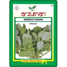 Semizotu Tohumu 10 GR N111618