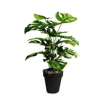 Nettenevime Yapay Ağaç Salon Bitkisi Monstera 70 Cm 18 Yaprak Antrasit Saksıda Diğer