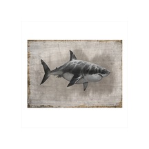 Bedeko Köpekbalığı Dekoratif Mdf Tablo 25 Cm X 35 Cm