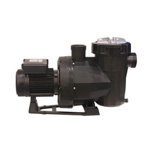 Astral Victoria Plus 3 Hp Monofaze Kendinden Emişli Havuz Pompası