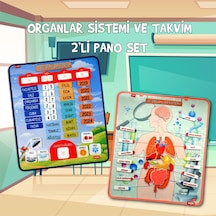 2 Set - 69 Parça Tox Iç Organlar ve Takvimi Öğreniyorum Keçe Cırt
