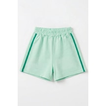 Mint Yeşili