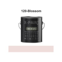 X-paint Nexus Soft-mat Su Bazlı Dönüşüm Boyası 0,75 Lt Hemel
