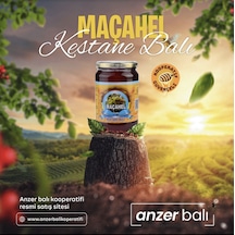 Buzluhan Analiz Raporlu Maçahel Kestane Balı 1 KG