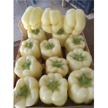 Beyaz Tatlı Dolmalık Biber Tohumu 25 GR