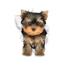 Kahverengi Yorkie Araba Sticker Oto Sticker Etiket 18Cm