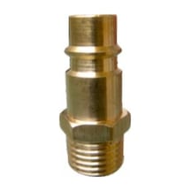 Sappower1/4 Erkek Sarı Rekor