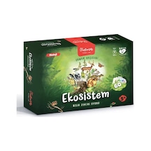 Usturlab-Ekosistem Midi Edition
