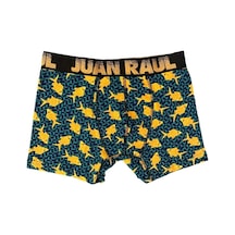 Sarı Balık Desenli Erkek Boxer - Db161 Çok Renkli