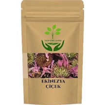 Ekinezya Echinacea Purpurea Çiçek 225 Gr