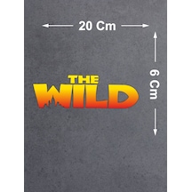 20x6 Cm