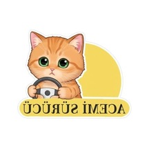 Sevimli Kedi Temalı Renkli Araba Etiketi Ve Sticker Seti Abanoz