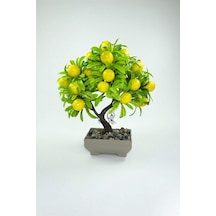 Dekor Ağaç Limon Ağacı Saksılı Dekoratif Ağaç Biblo 24x13 Cm 41bordocipsobeyaz