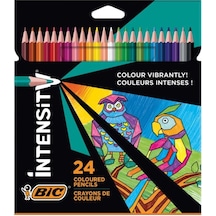 Bic İntensity Kuru Boya Kalemi 24 Renk