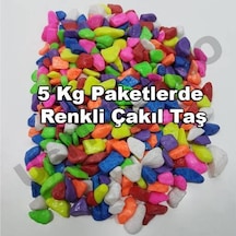 Teraryum Çakıl Taşı. Fanus Renkli Taş Dekoratif Renkli Taş