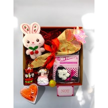 Romantik Hediye Kutusu Sonsuzluk Gülü Kar Küresi Ve Mini Tavşan Konsept Set