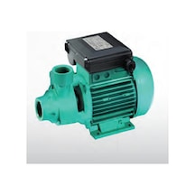 Wilo Initial Peripheral Pv 30 M Tek Kademeli Periferik Pompa