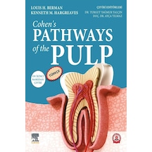 Cohen's Pathways Of The Pulp Türkçe 12. Baskı