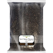 Zencefil Organik Yerli Yaban Mersini Kurusu 1 KG