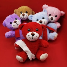 Renkli Peluş Ayıcık Kırmızı