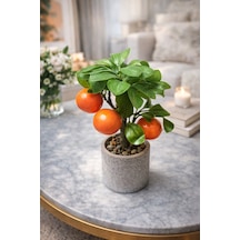 Yapay Mandalina Ağacı Saksılı 26 Cm Dekoratif Bitki Gerçek Görünümlü Mini Narenciye Ağacı