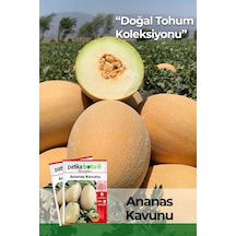 Patika Botanik 100 Adet Ananas Kavun Tohumu