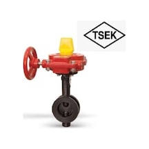 Izlenebilir Kelebek Vana Tsek Onaylı
