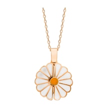Daisy Kolye 718923 Rose Gümüş