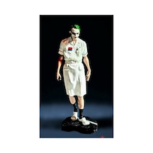 3d Hemşire Joker Figür / Heath Ledger Joker Nurse /batman Kara Şövalye Joker/20 Cm/fanart