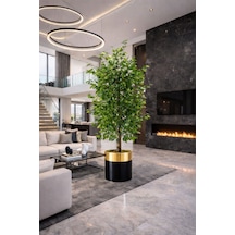 Yeşil