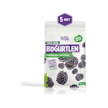 Dondurularak Kurutulmuş Böğürtlen 18 G Freeze Dried Meyve Cipsi Çıtır Meyve Kurusu 5 Adet